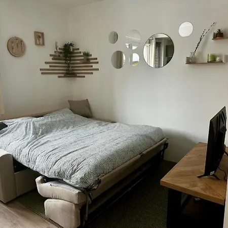 Studio Noix A 10 Minutes A Pied De La Gare De Apartmán Grenoble